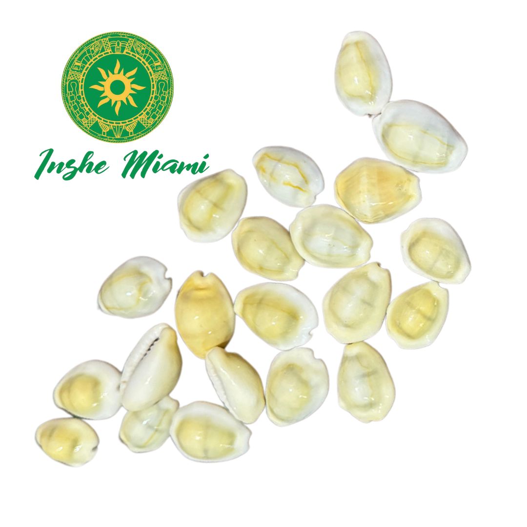 Owo Eyo Mano de Caracol Cerrado