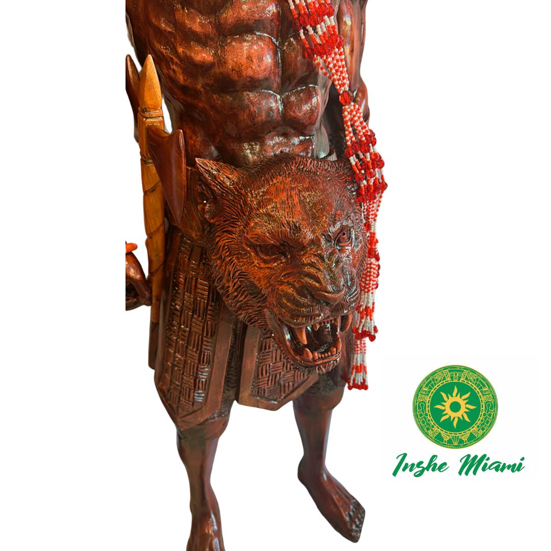 Set de Chango Full Body