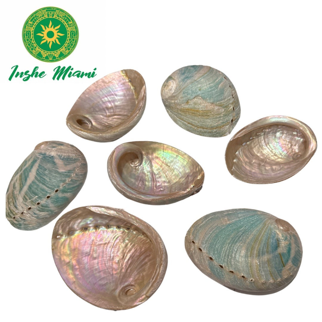 SHELL