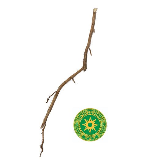 Palo de Quita Maldicion (10")