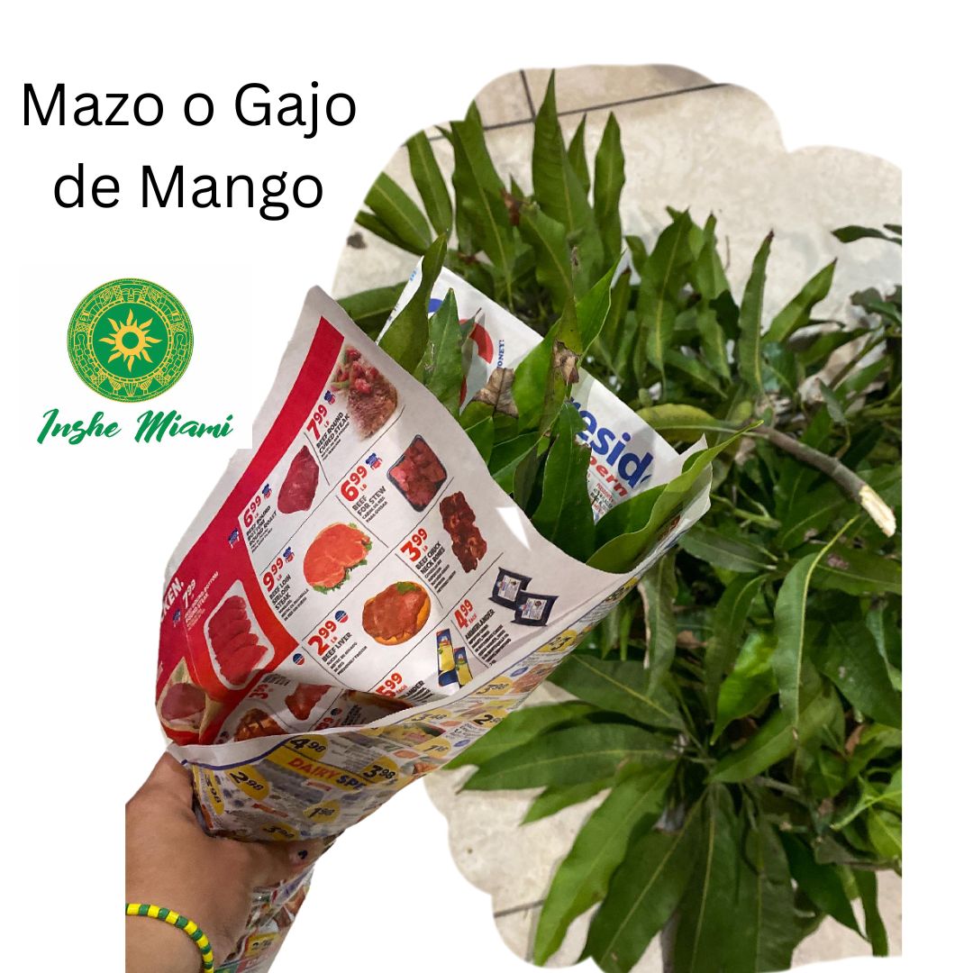 MANGO MALLET