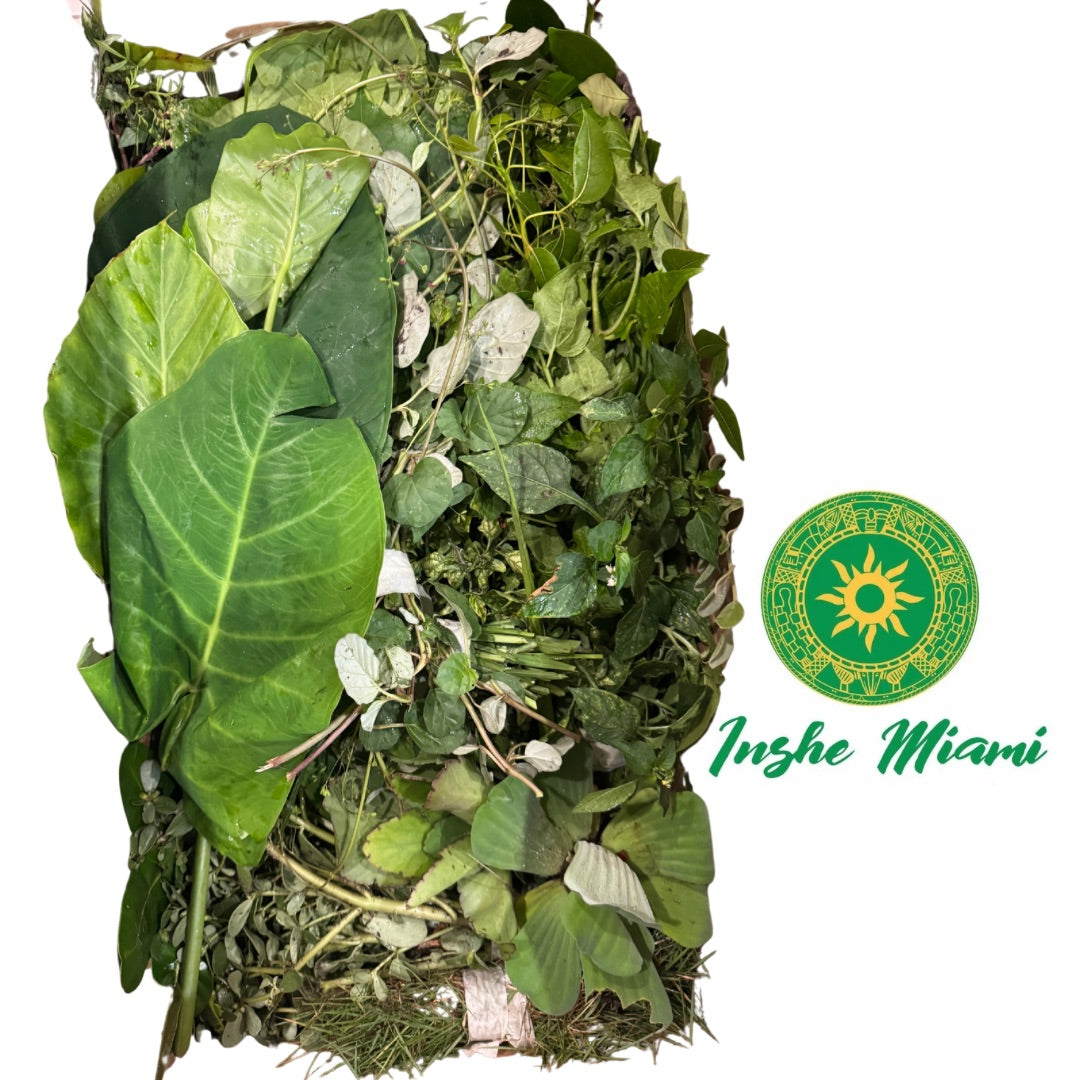 21 Hierbas para el Plante