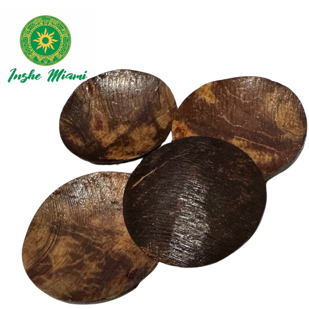 Chamalongos (4 Cocos)