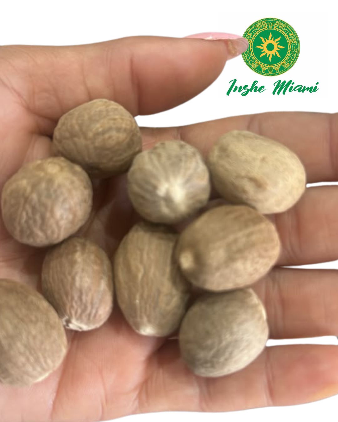 Nutmeg Seed – 3-Piece Pack | Spiritual and Religious Use | Inshe Miami