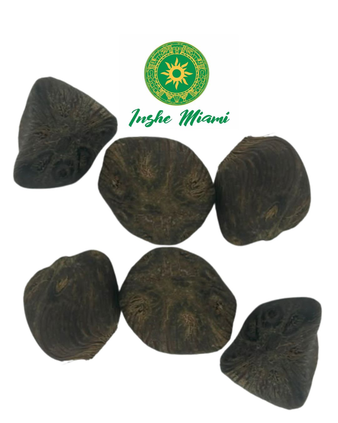 Ikin of 6 Eyes – Sacred Ifá Seed | Sold Individually | Inshe Miami