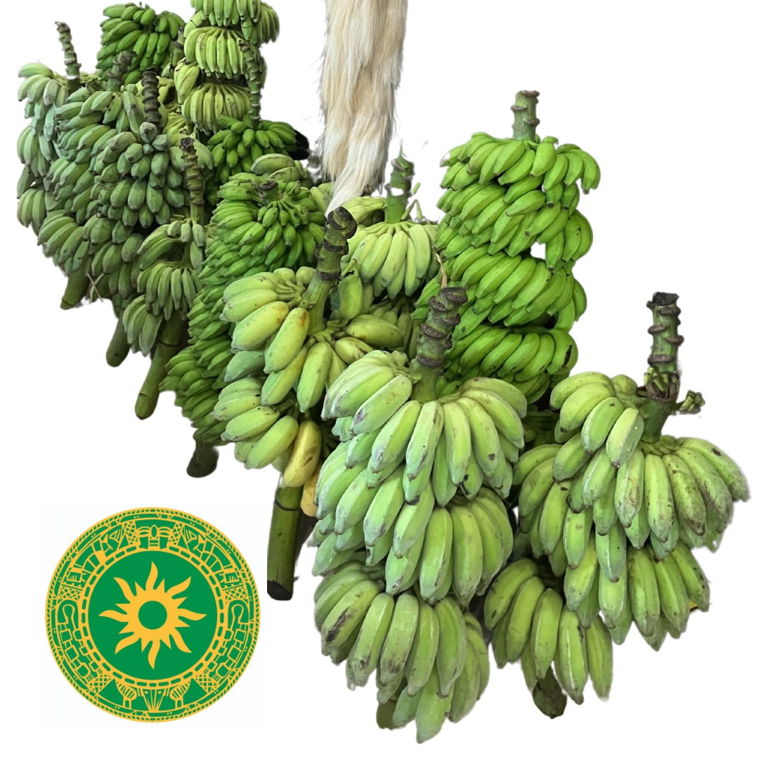 Racimo de Platano