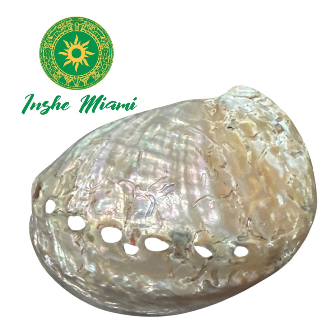 SHELL