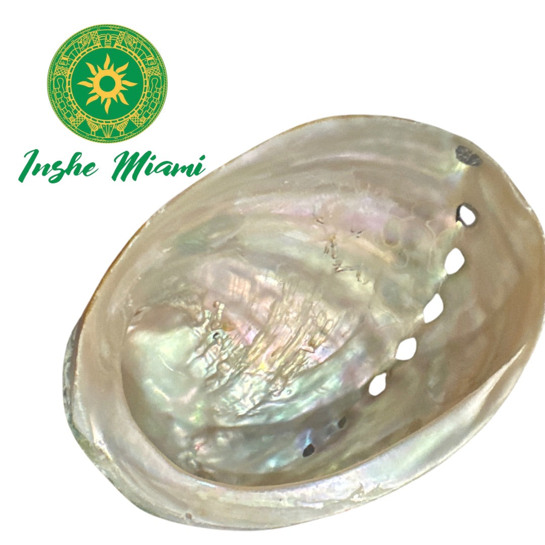 SHELL
