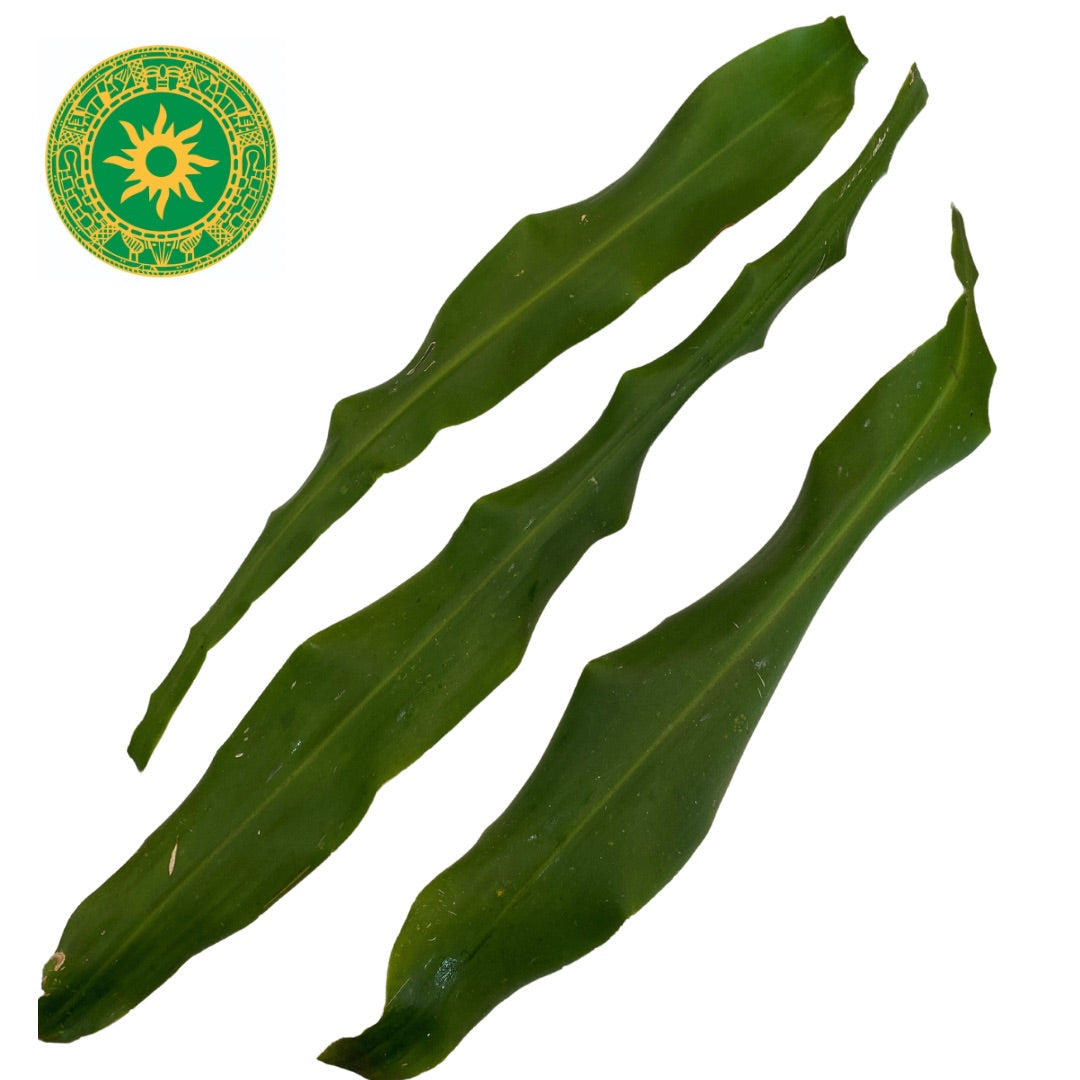 Hierdie artikel is 'n weesbladsy.