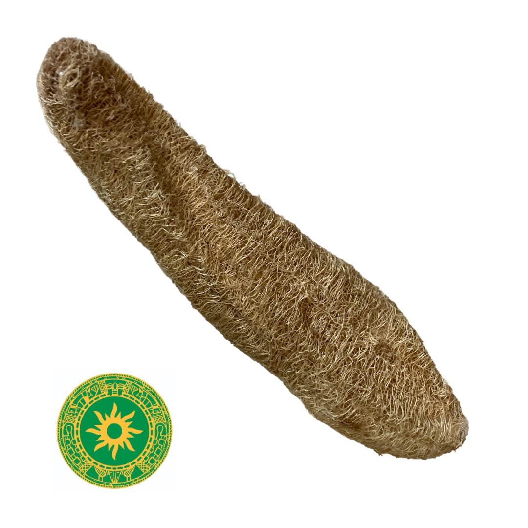 Estropajo