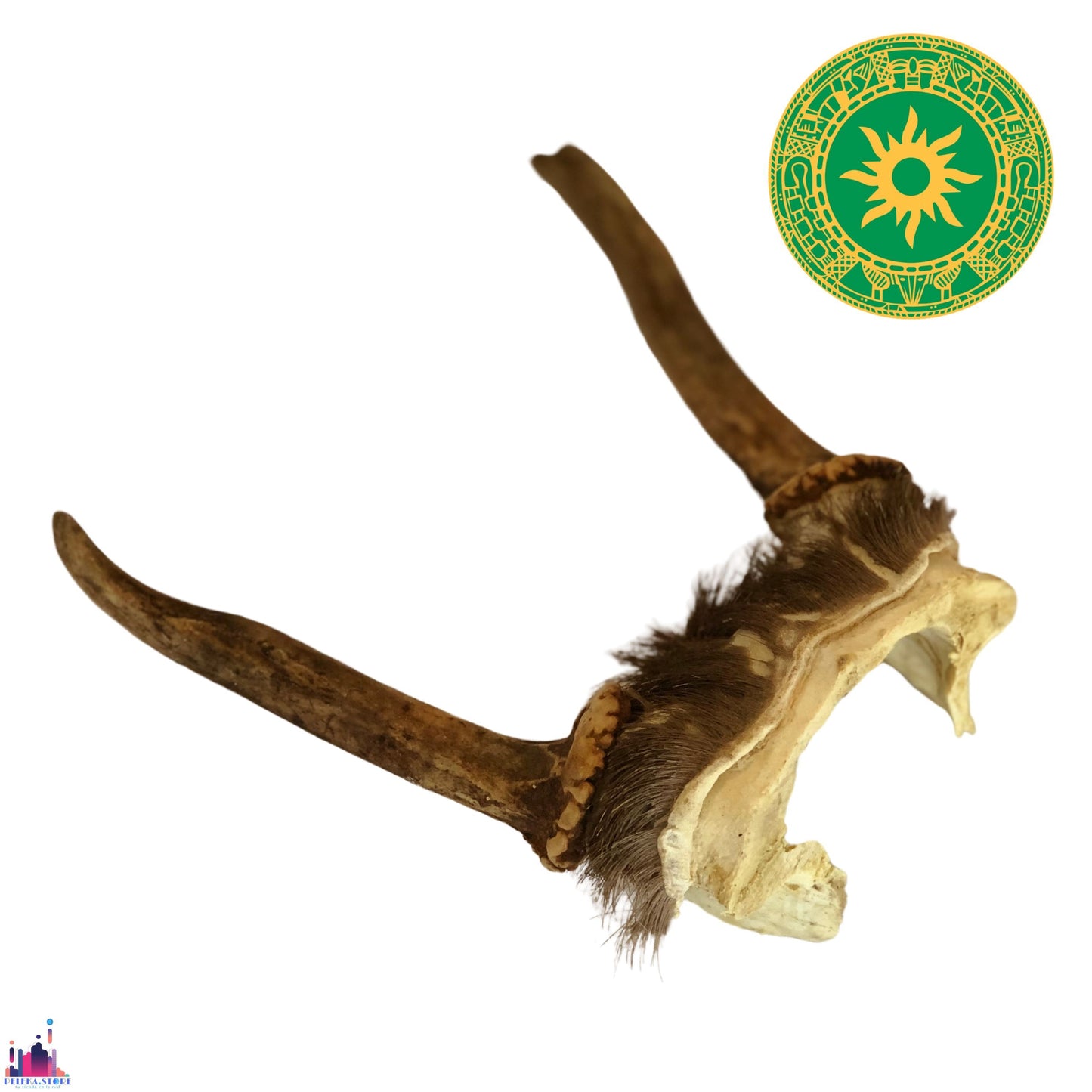 TARRO DE VENADO TARRO DE VENADO - Inshe Miami HUESO Y CUERNO INSHE MIAMI