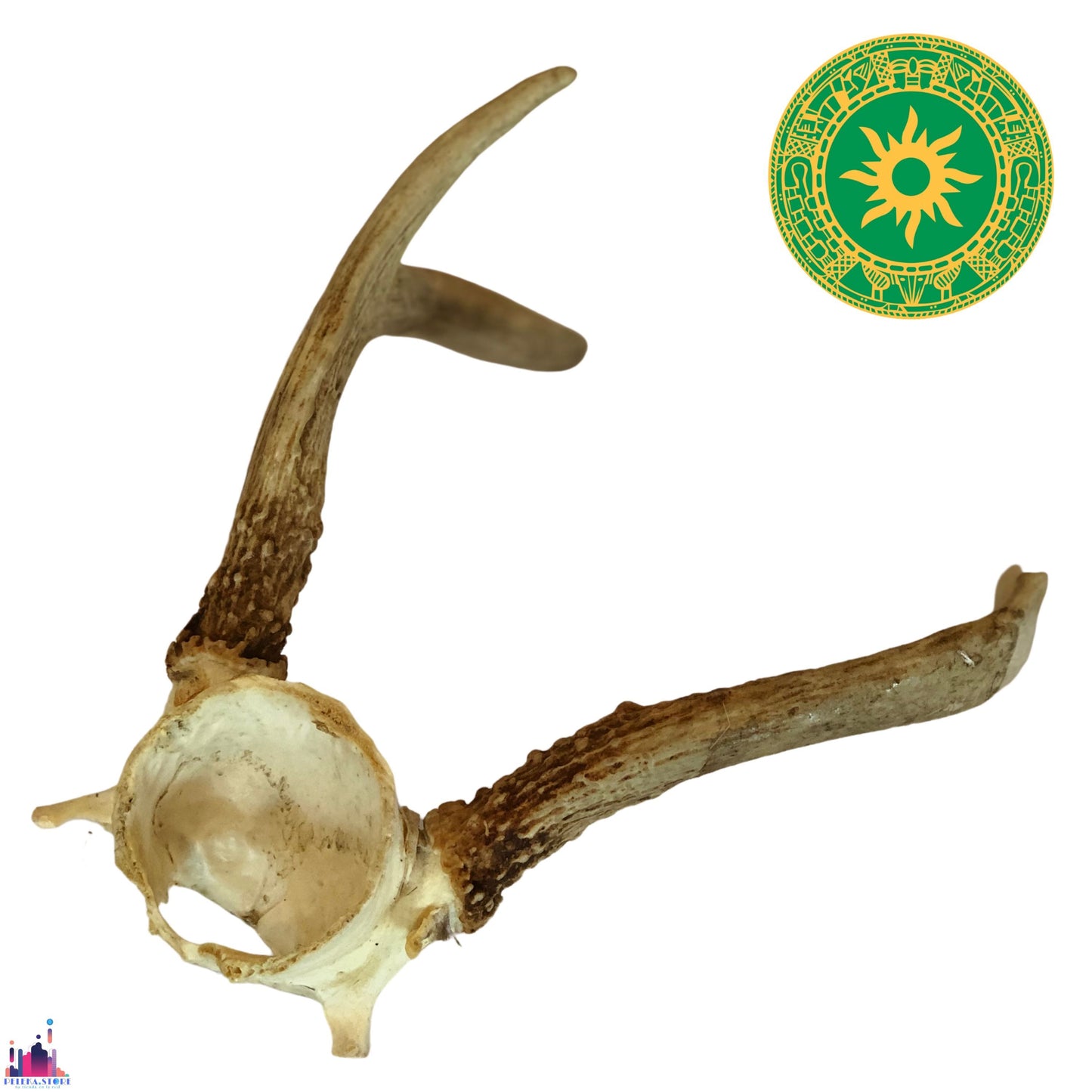 TARRO DE VENADO TARRO DE VENADO - Inshe Miami HUESO Y CUERNO INSHE MIAMI