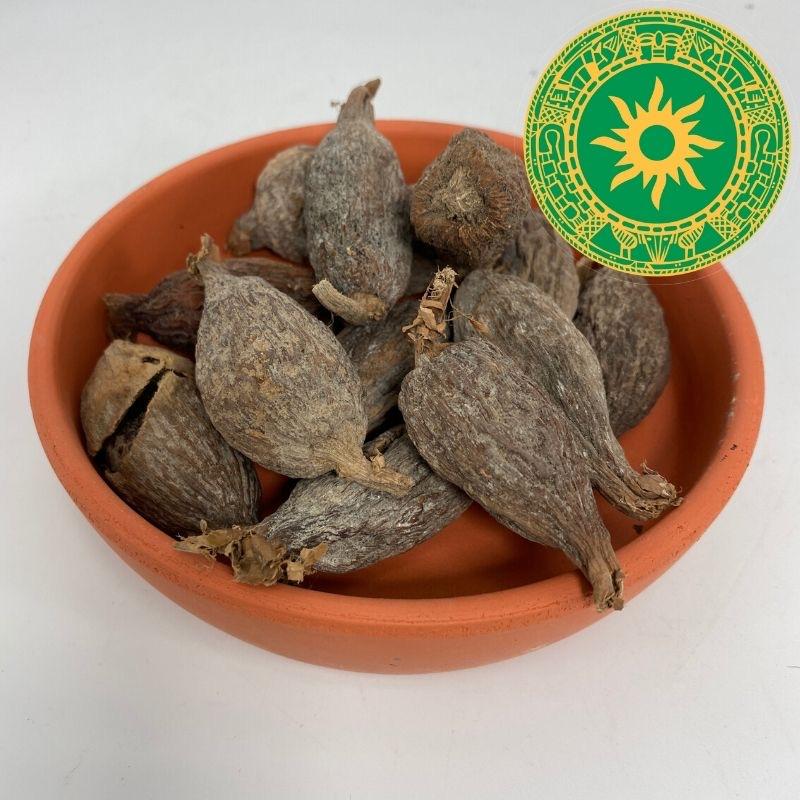 VAINA ATARE NIGERIANA VAINA ATARE NIGERIANA - Inshe Miami SEMILLAS BotanicasYoruba