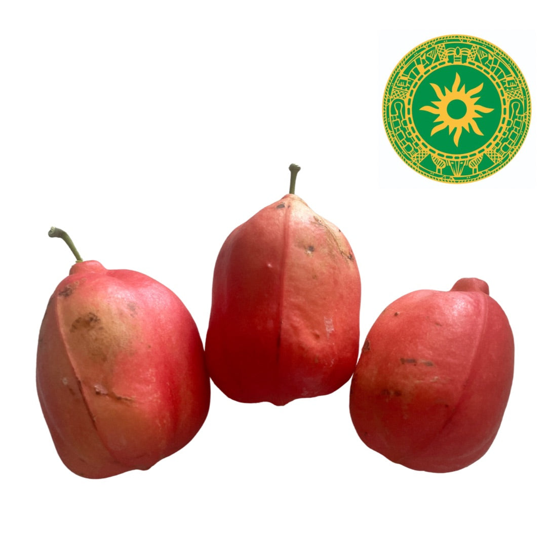 Fruta del Seso Vegetal