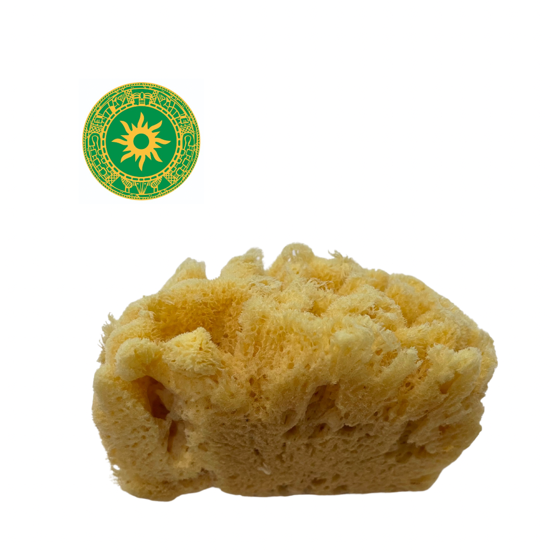 Sponge - Sponge 7"- 9"