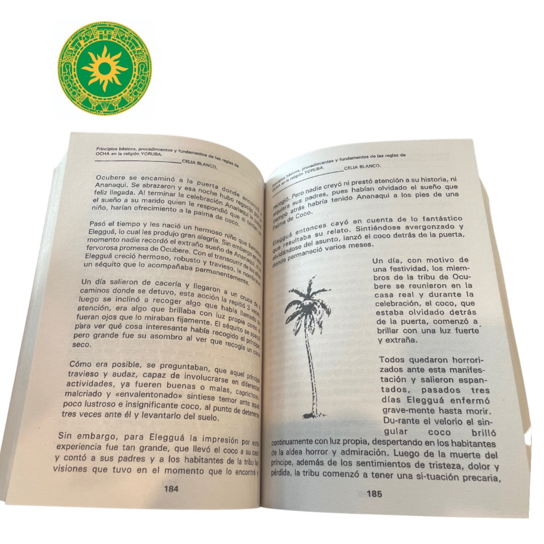 YORUBA SANTERIA BOOK