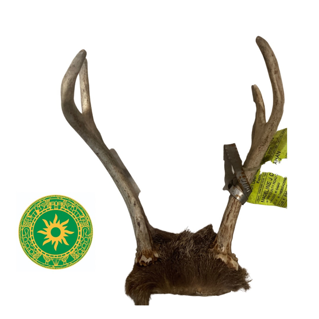 Frontil de Venado