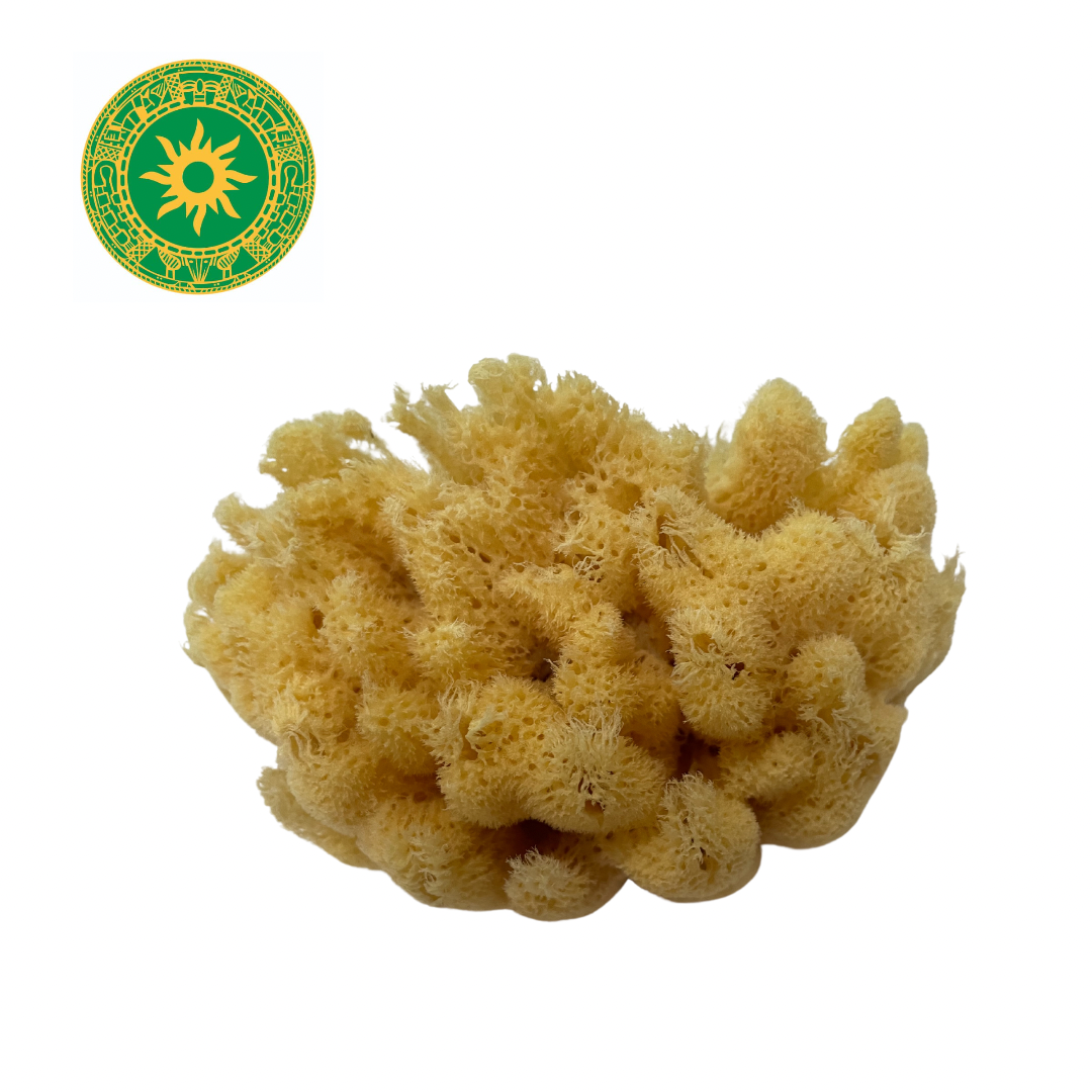 Sponge - Sponge 7"- 9"