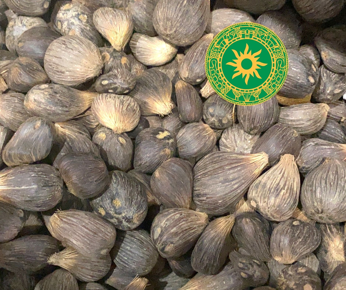 IKIN / 4 OJO IKIN / 4 OJO - Inshe Miami IKIN BotanicasYoruba