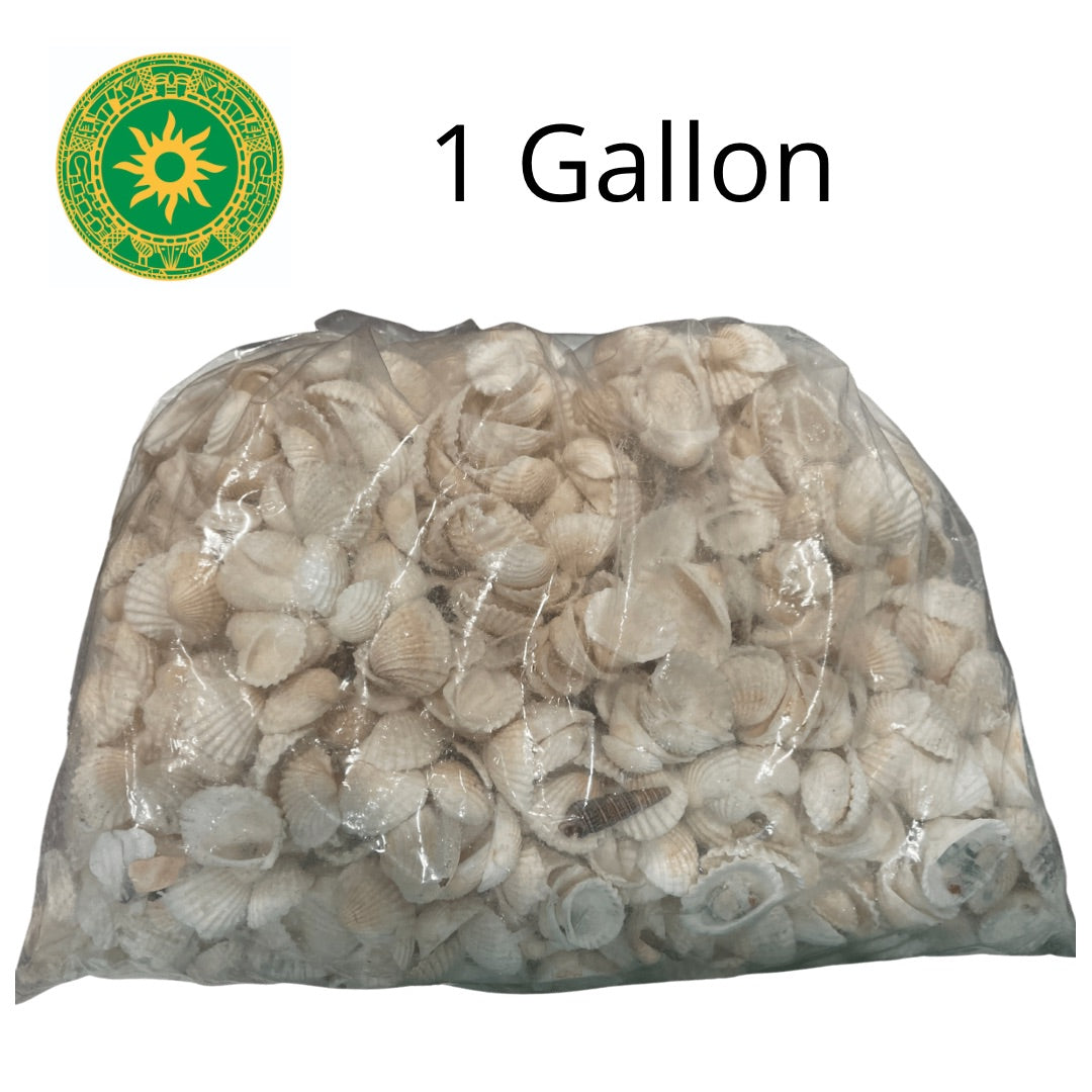 shell 0.5"-1"