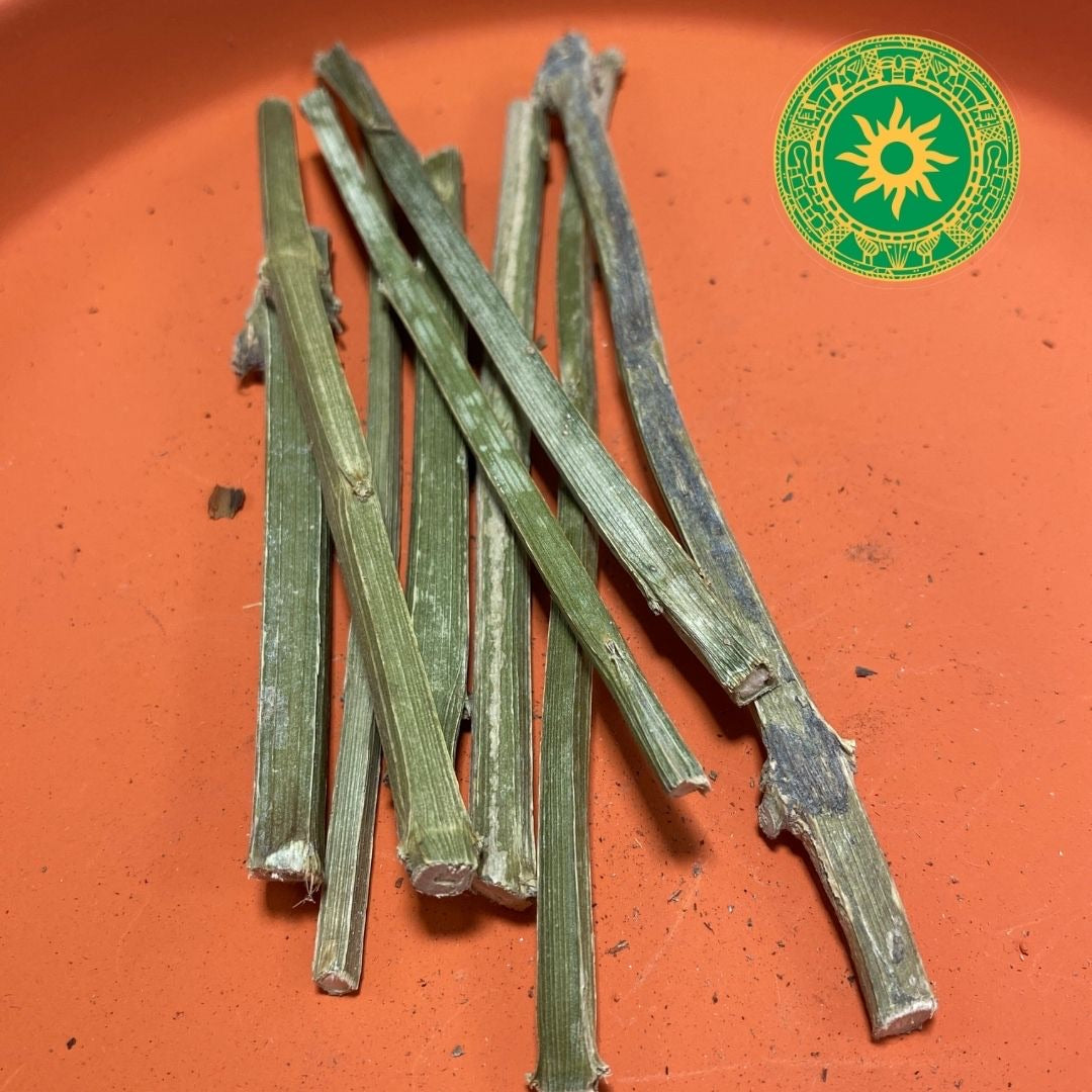 Natural Palo Justicia 3" to 7" | Spiritual Stick for Traditional Use | Inshe Miami
