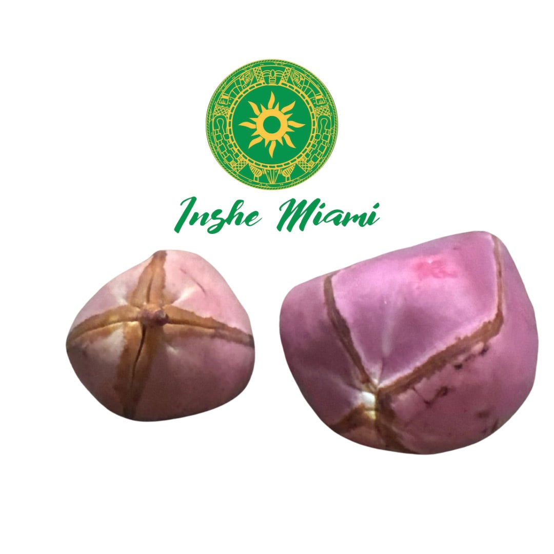 Obi Abatá: Uso Tradicional en Ifá (Ìṣẹ̀ṣe) – Cómo Consultar y Dar Obi Correctamente