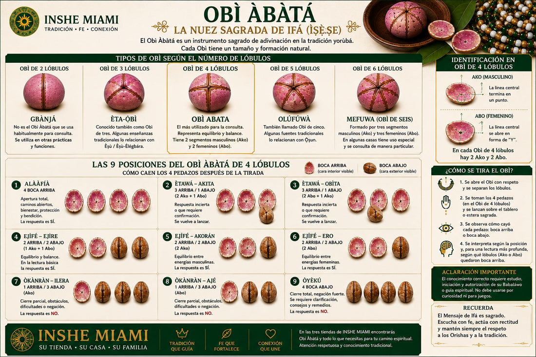 Obi Abatá: Uso Tradicional en Ifá (Ìṣẹ̀ṣe) – Cómo Consultar y Dar Obi Correctamente