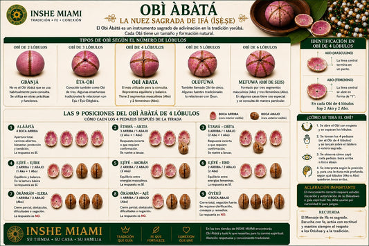 Obi Abatá: Uso Tradicional en Ifá (Ìṣẹ̀ṣe) – Cómo Consultar y Dar Obi Correctamente