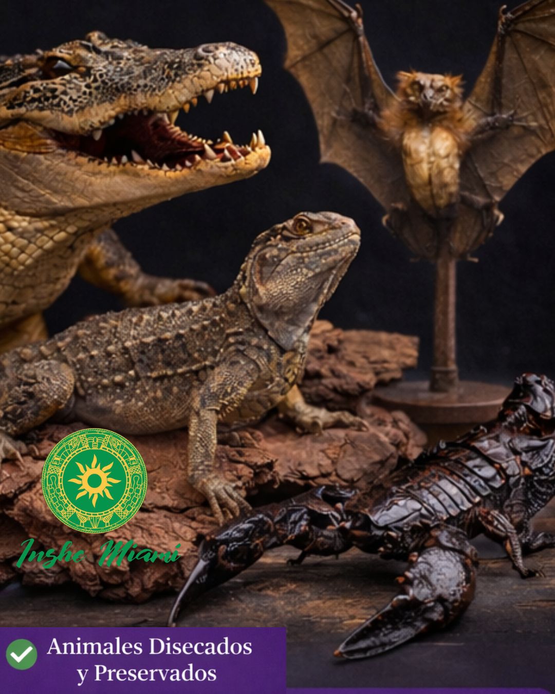 ANIMALES DISECADOS Y PRESERVADOS PARA CEREMONIAS RELIGIOSAS