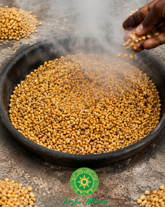 Toasted Corn Kernels (Asheses) – Traditional for Ceremonies and Offerings | Inshe Miami