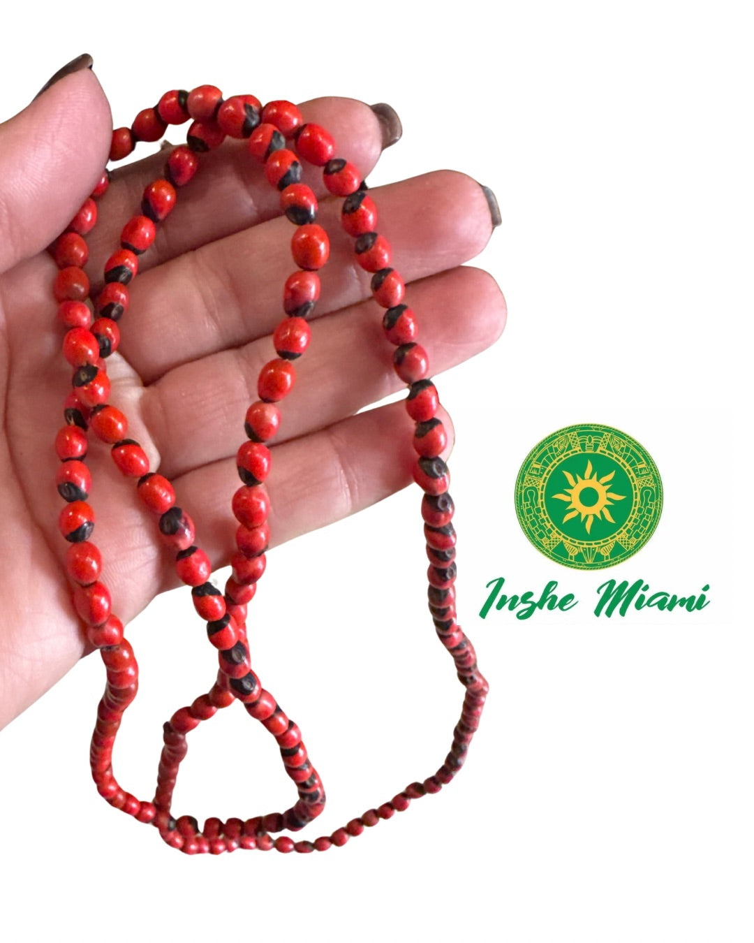 Peony necklace / Paeonia/ iwerenjeje seed/ parrot