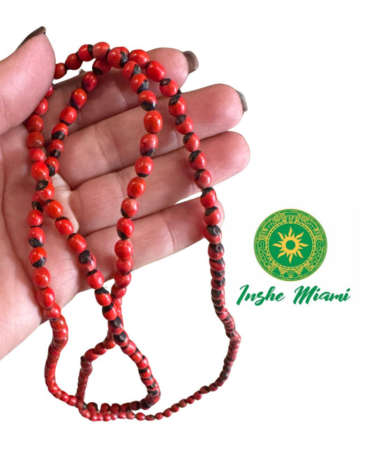 Collar de Peonia / Paeonia/ semilla de iwerenjeje/ cotorrita