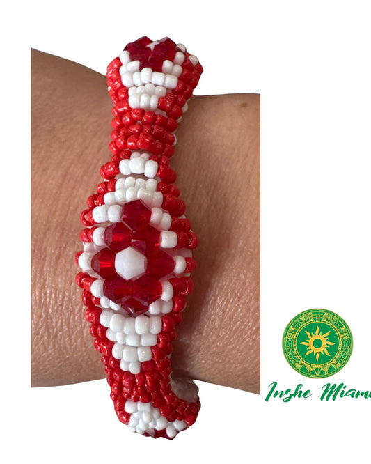 Ilde Elastisado Chango