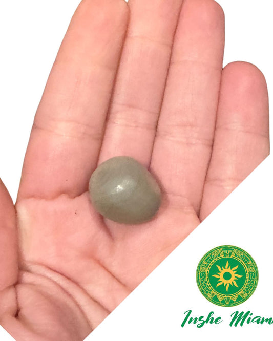 Semillas Espirituales (Ojo de Buey, Guacalote, Mate Rojo) – Unidad | Inshe Miami
