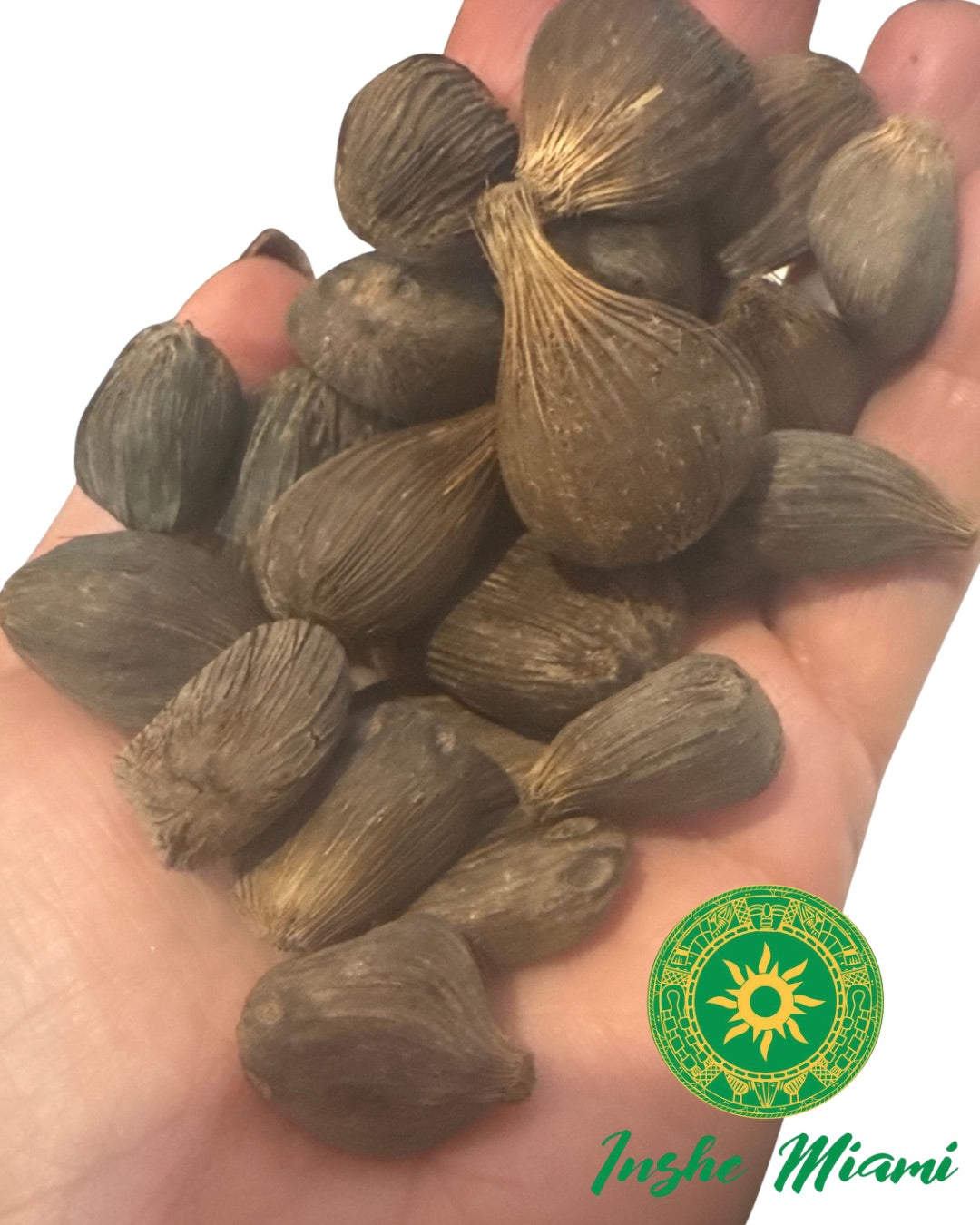 Ikines de 4 ojo - mano de ikines 21 pieza - mano de Ifa - adele