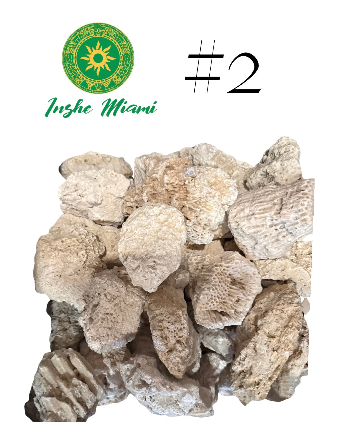 Piedra Porosa Babalu Aje