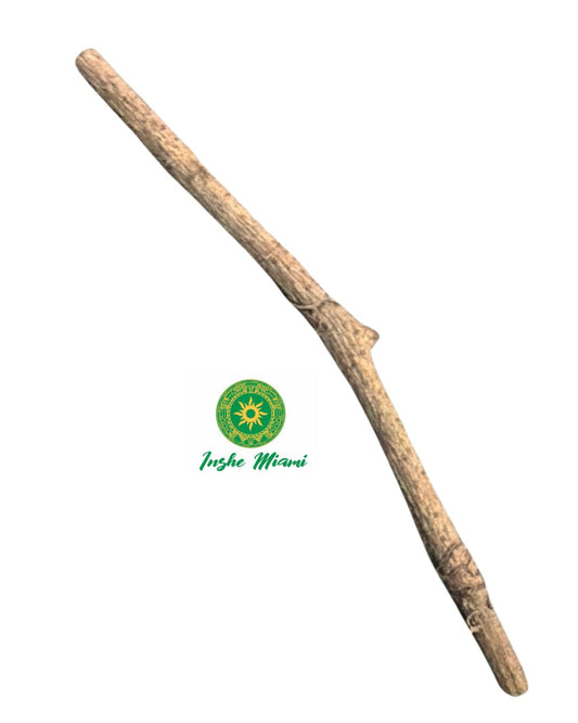 Palo Pierde Rumbo Natural 3-7 Pulgadas | Palo Espiritual para Ifá y Santería | Madera Ritual Tradicional