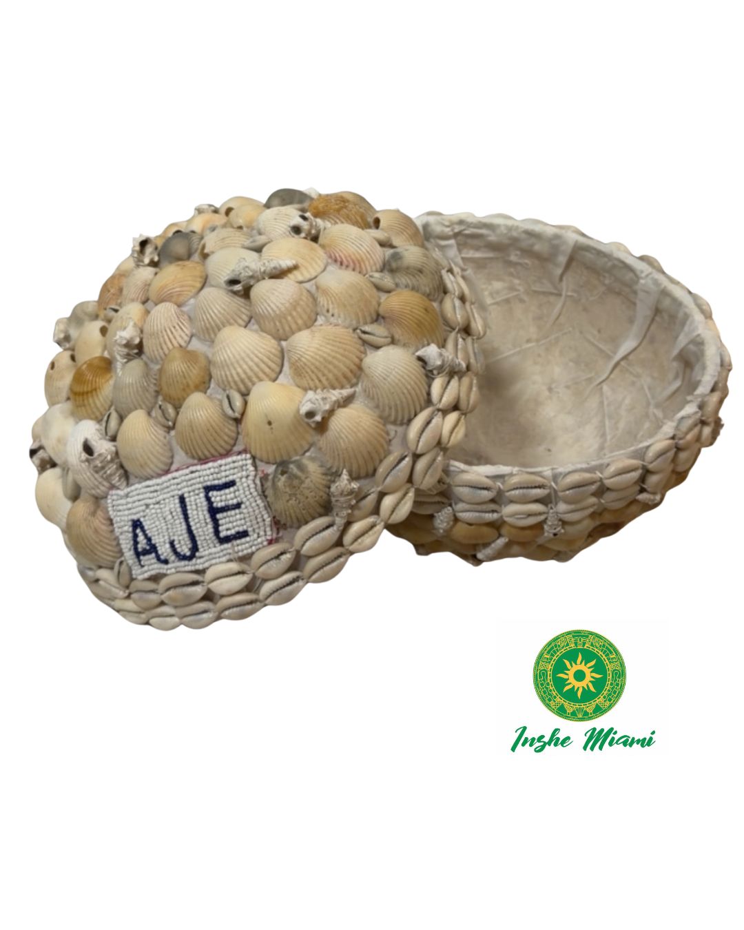 Igba Aje con Caracoles y Conchas Naturales | INSHE MIAMI