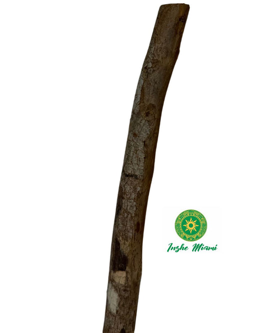 Palo de Laurel Natural 3" – Uso Religioso y Espiritual