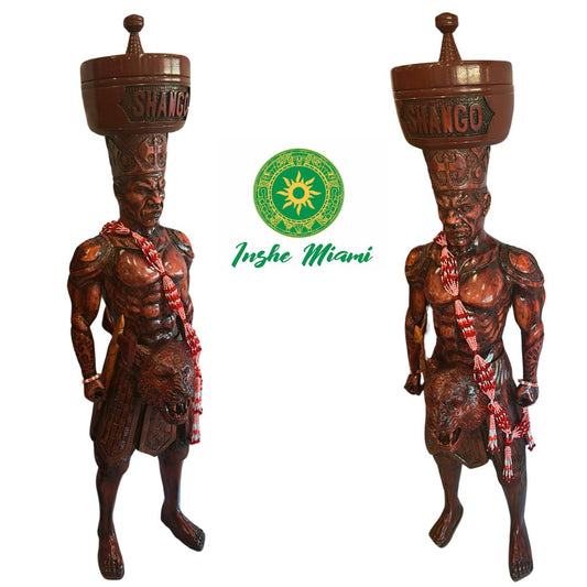 Set de Chango Full Body