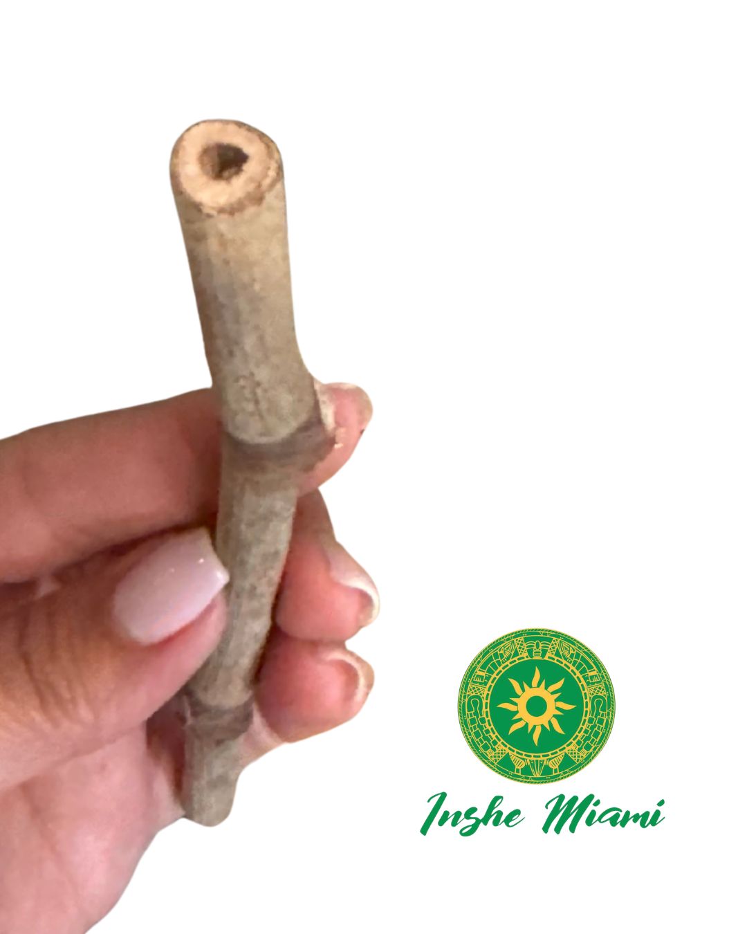 Guava Stick 5.5" | Natural Spiritual Stick for Traditional Use | Inshe Miami