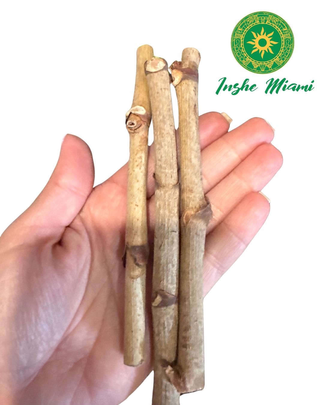 Guava Stick 5.5" | Natural Spiritual Stick for Traditional Use | Inshe Miami