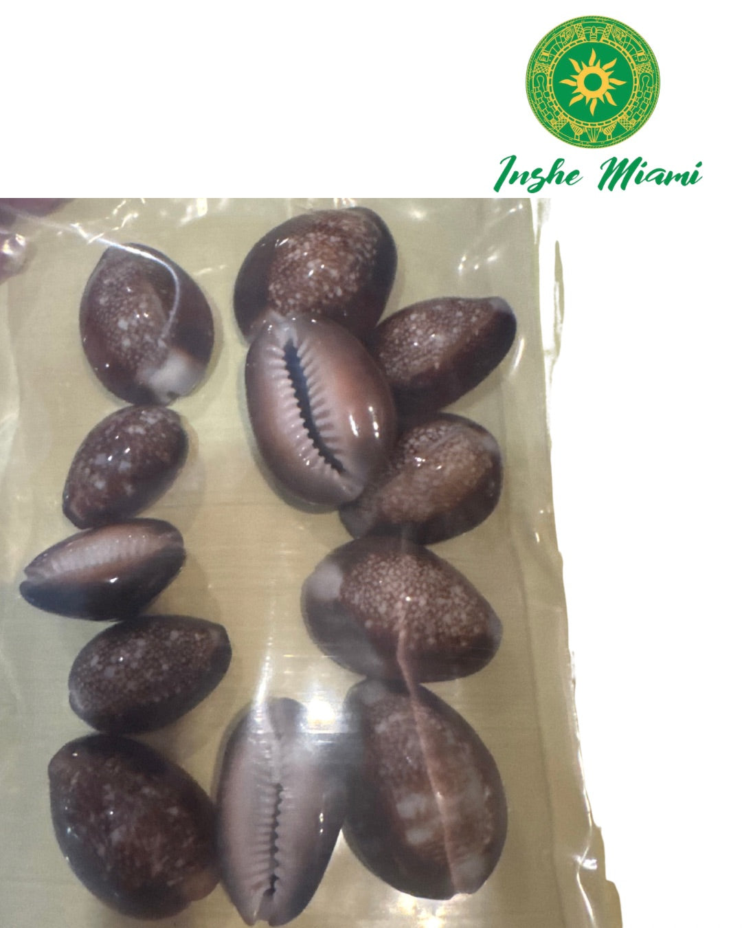 12 Caracoles Tigres / Iya Aje (Elige aqui)