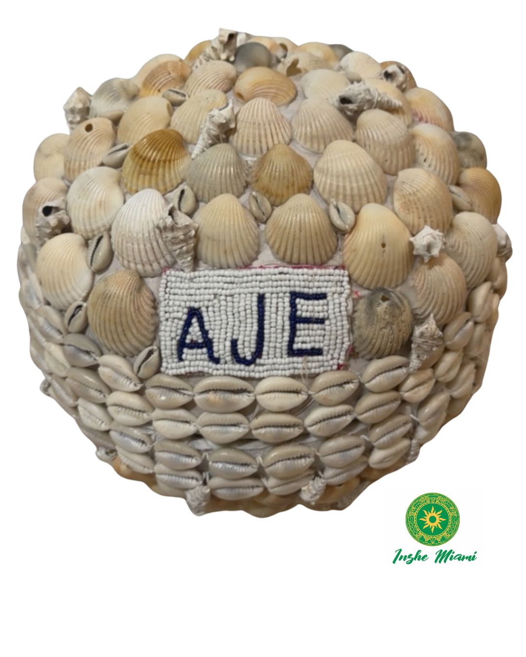 Igba Aje con Caracoles y Conchas Naturales | INSHE MIAMI