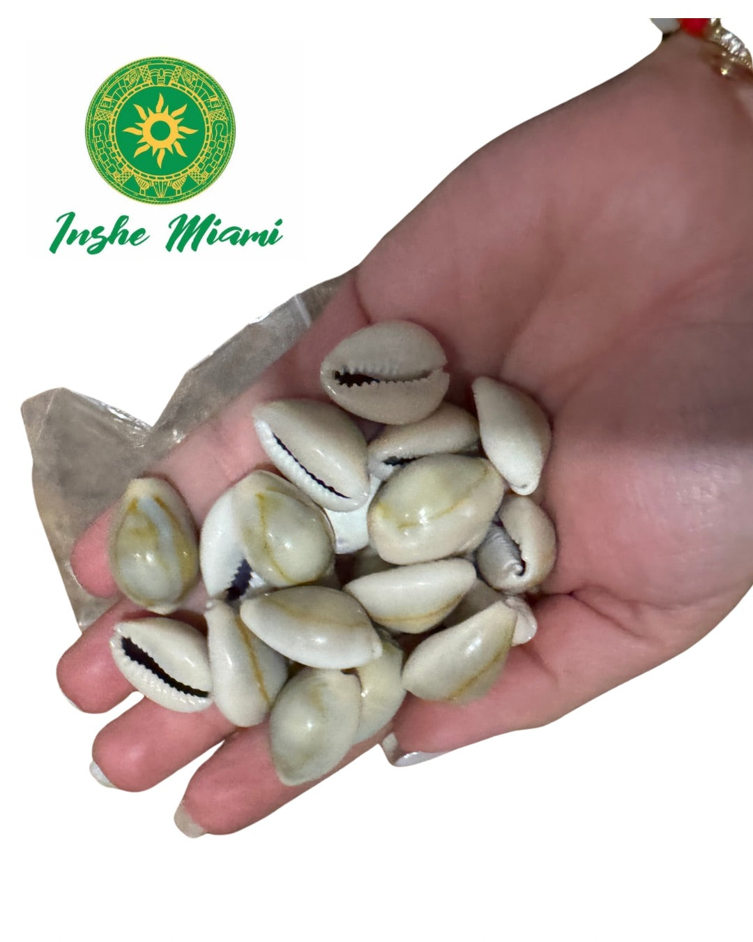 Mano de Caracoles Cerrado