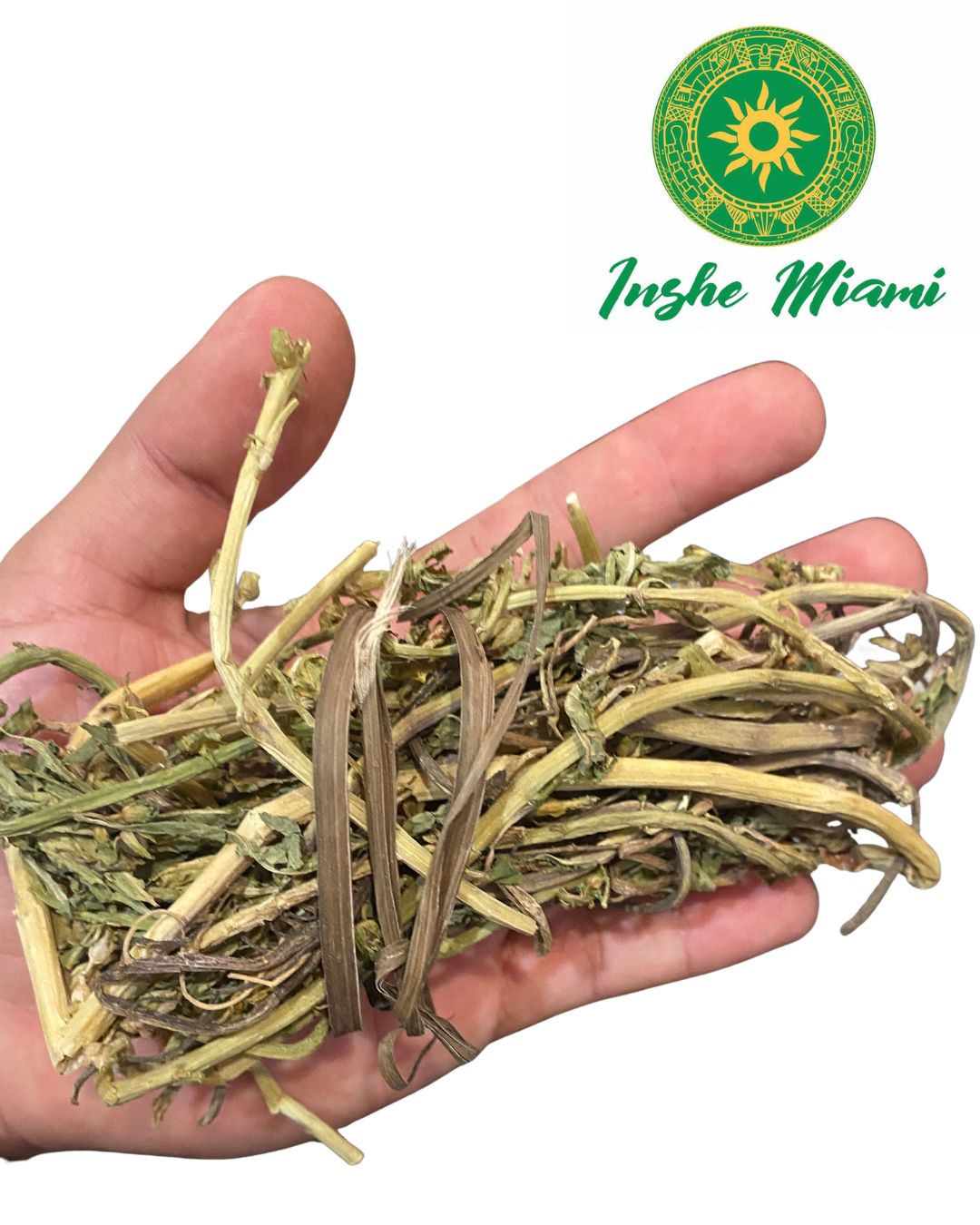 Ewe Segun Sete – Hierba Espiritual para Akose y Medicina Tradicional