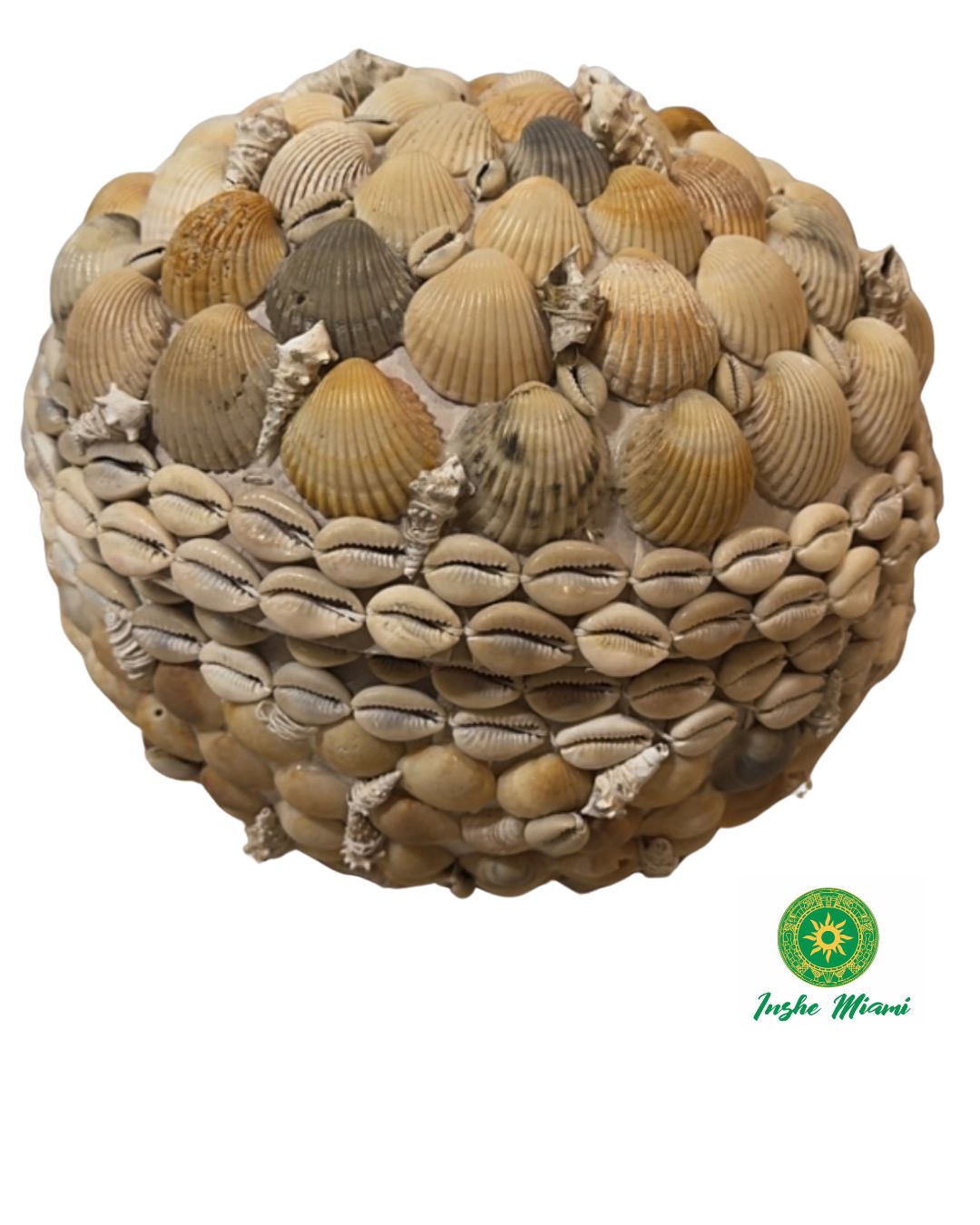 Igba Aje con Caracoles y Conchas Naturales | INSHE MIAMI