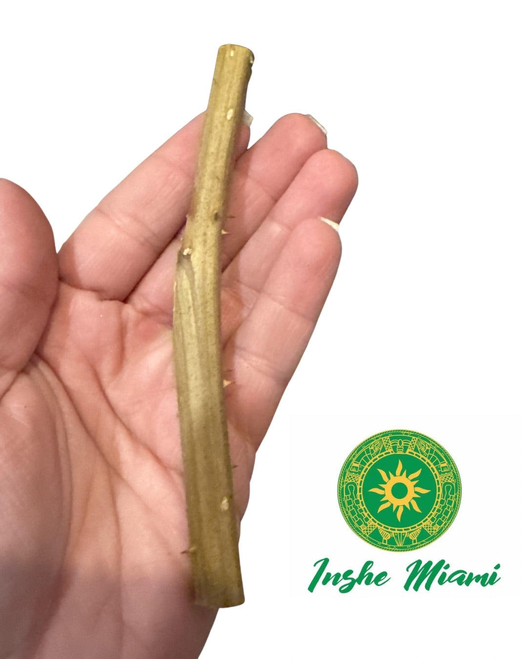 Palo Quita Maldicion 5.5” – Palo Espiritual Natural | Uso Ritual Yoruba / Santería