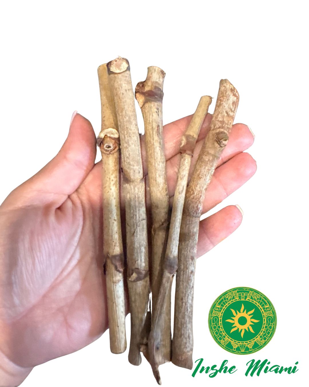 Guava Stick 5.5" | Natural Spiritual Stick for Traditional Use | Inshe Miami