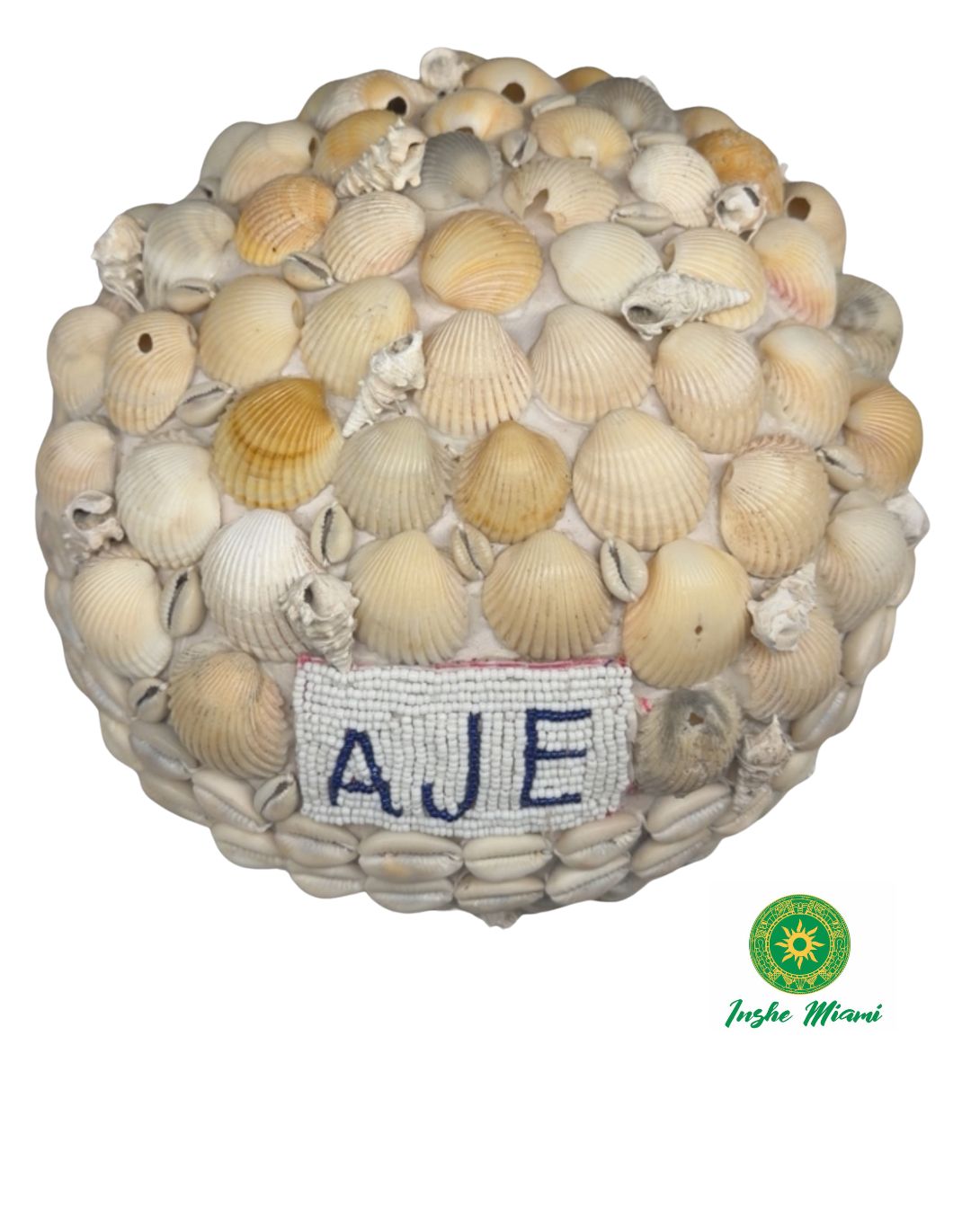 Igba Aje con Caracoles y Conchas Naturales | INSHE MIAMI